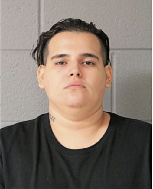 JULIAN MADRIGAL, Cook County, Illinois