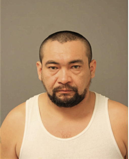 RONNIE A BASQUEZ, Cook County, Illinois