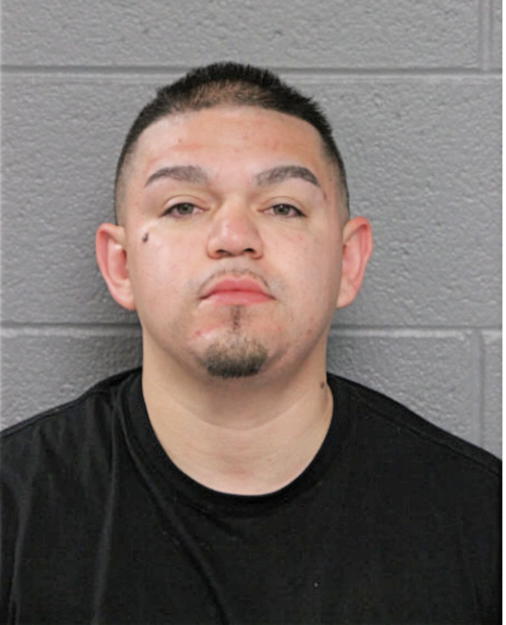 JUSTIN S VARGAS, Cook County, Illinois