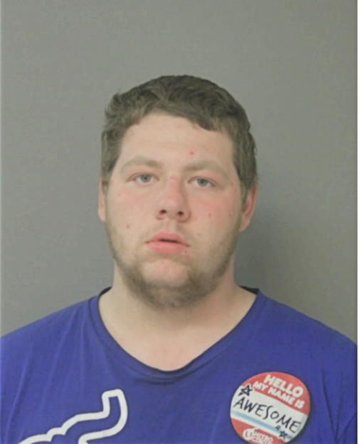 SHANE A DIEHL-BREMER, Cook County, Illinois