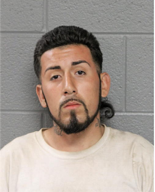 MICHAEL ANTHONY SANCHEZ, Cook County, Illinois