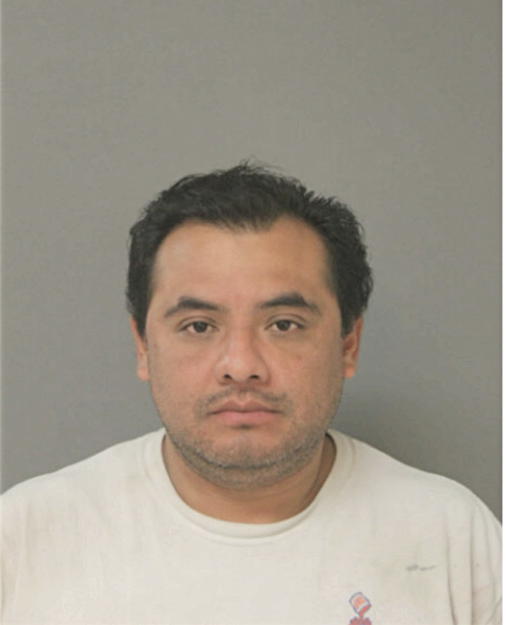 JOSE L LAGUNA, Cook County, Illinois