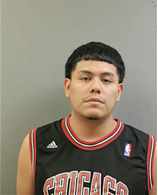 ANDRES DIAZ, Cook County, Illinois