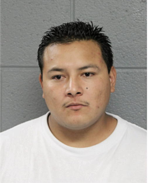 LUIS A ESPINOZA, Cook County, Illinois