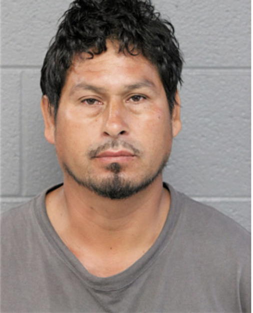 PATRICIO GONZALEZ, Cook County, Illinois