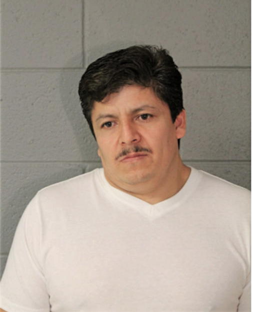 JUAN C FUERTE, Cook County, Illinois