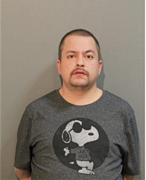 LUIS DEL REAL, Cook County, Illinois