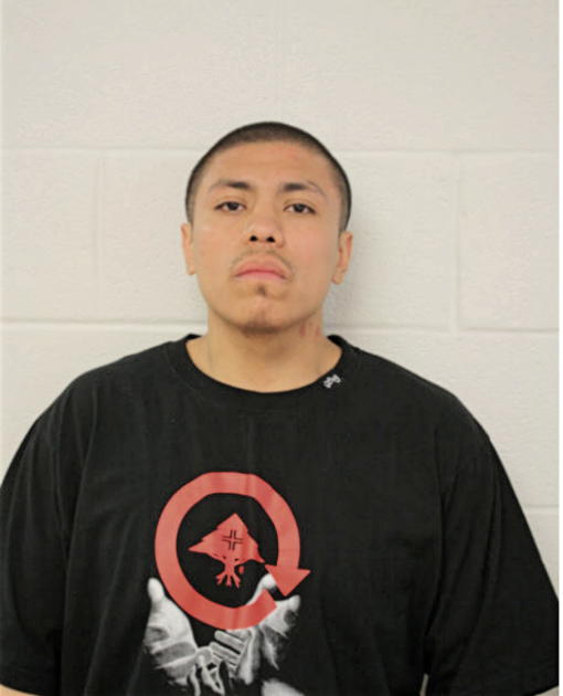 RICKY FERNANDEZ, Cook County, Illinois