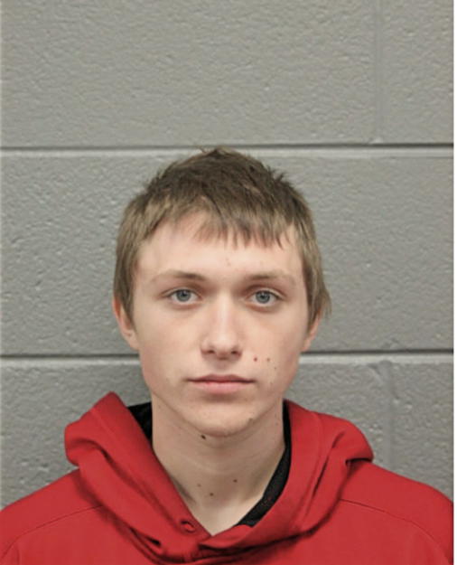 DILLON JAMES ROEWER, Cook County, Illinois