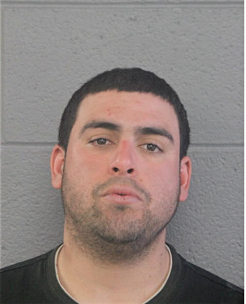 RICARDO TORRES-GONZALES, Cook County, Illinois