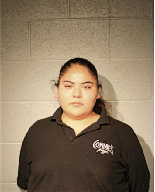 PATRICIA PEREZ SALGADO, Cook County, Illinois