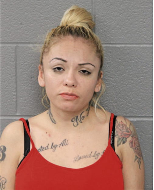 MARIA E GARCIA, Cook County, Illinois