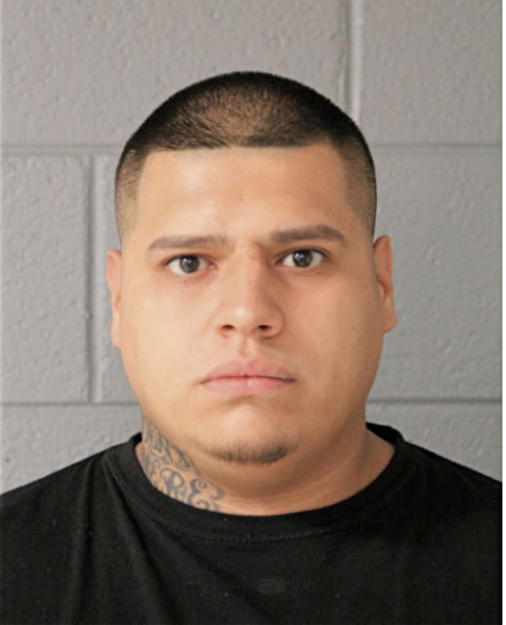 CESAR DELVALLE, Cook County, Illinois
