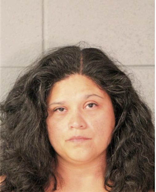 PRISCILLA E DOMINGUEZ, Cook County, Illinois