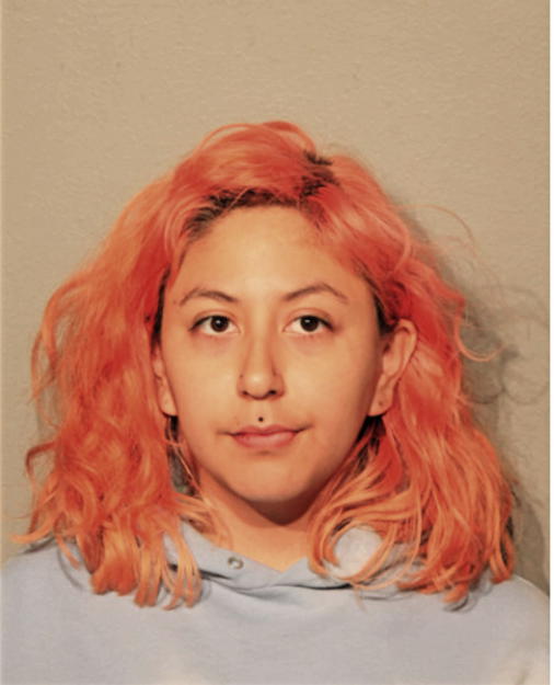 ROMINA PAMELA NIETO, Cook County, Illinois