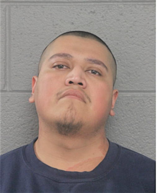MARCO VARGAS, Cook County, Illinois