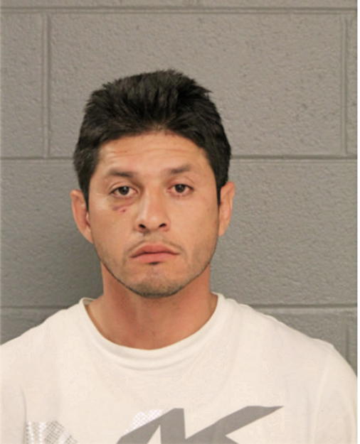 MARIO ORTEGA, Cook County, Illinois