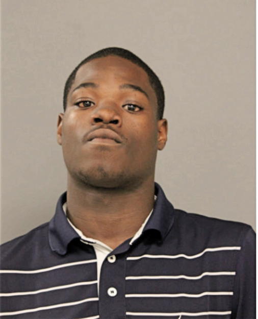 TERRENCE J GALLAWAY-JOHNSON, Cook County, Illinois