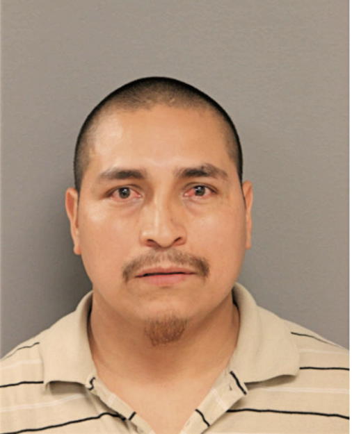 MARIO CASTILLO FLORES, Cook County, Illinois