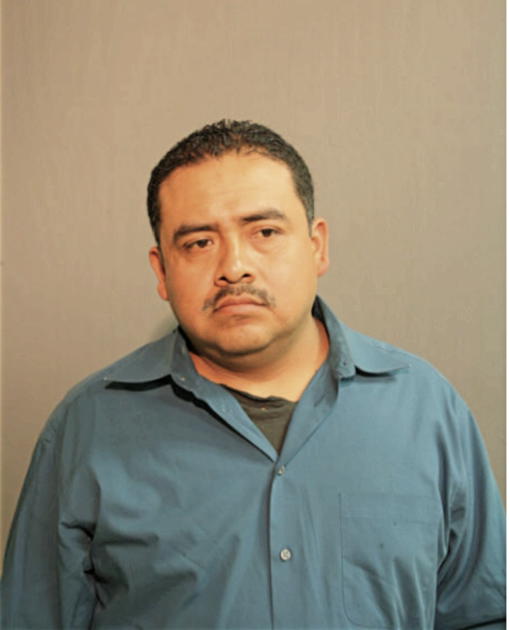 JUAN A ORTEGA, Cook County, Illinois