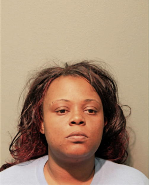 BRITTANY M KING, Cook County, Illinois