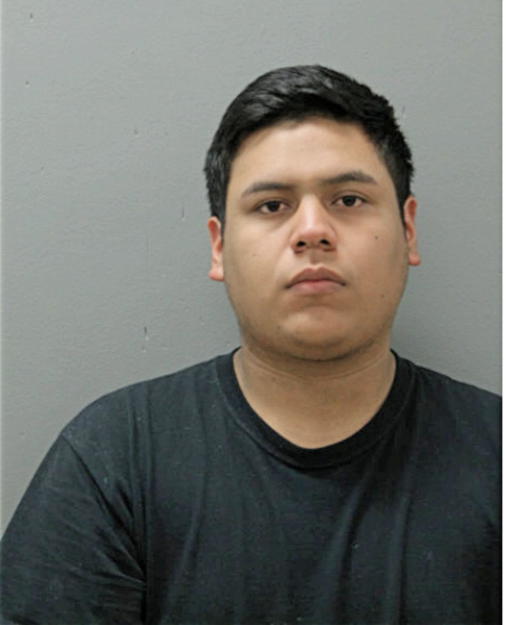 LUIS A HERNANDEZ, Cook County, Illinois