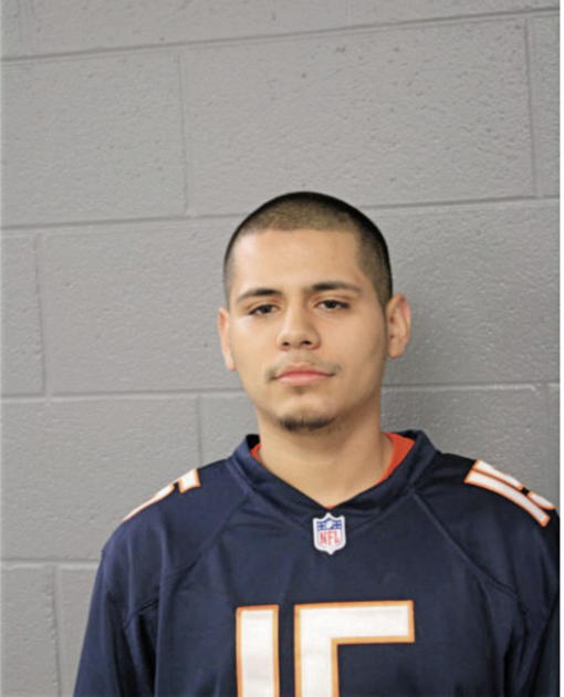 MIGUEL ANGEL TORRES, Cook County, Illinois