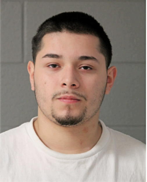 JOEL J FRAUSTO-GUITTEREZ, Cook County, Illinois