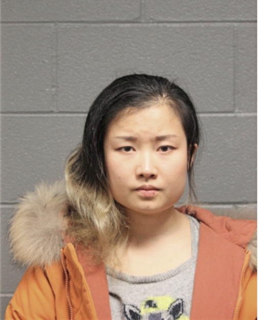 MENG SHUI, Cook County, Illinois