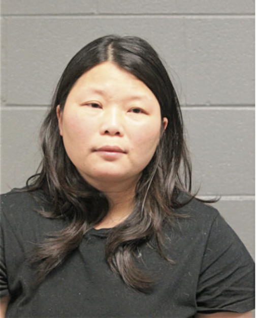 JIE LING CHEN, Cook County, Illinois