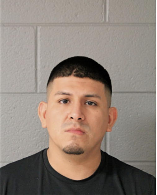 OSCAR M GONZALES, Cook County, Illinois