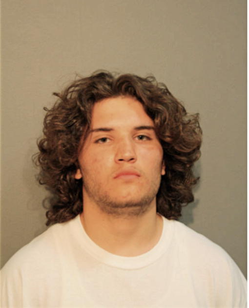 DANIEL J FLORES, Cook County, Illinois