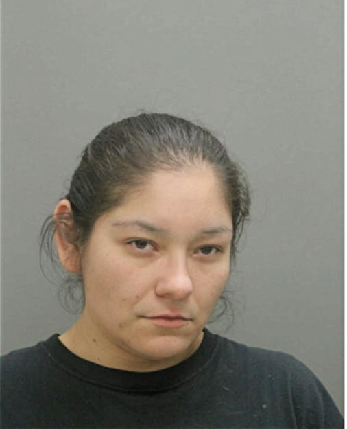 LORAN C GUZMAN, Cook County, Illinois