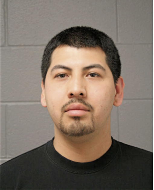 LUIS DAVID SANTANA, Cook County, Illinois