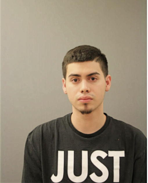 BRYAN A TELLEZ-ESPINOZA, Cook County, Illinois