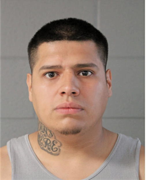 CESAR DELVALLE, Cook County, Illinois