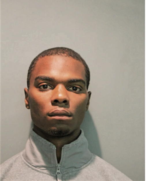 SEAN E JOHNSON, Cook County, Illinois