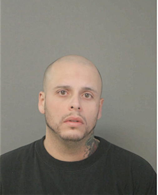 ANDRES DAVID, Cook County, Illinois