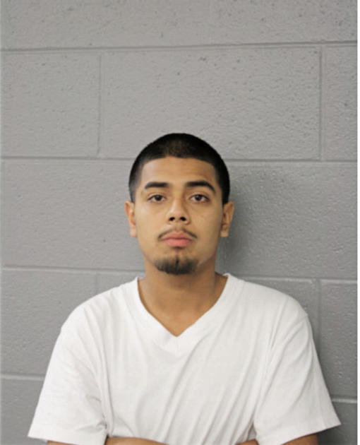 RENE M MENDOZA, Cook County, Illinois