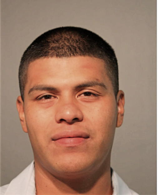 MANUEL REYES-NAVA, Cook County, Illinois