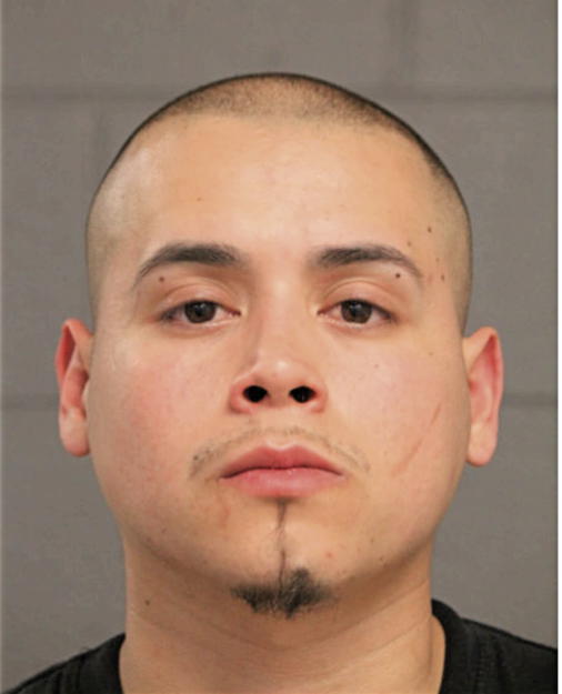 GABRIEL B ORDAZ, Cook County, Illinois