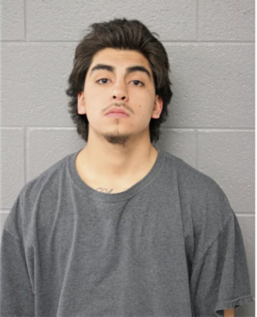 KEVIN B GUZMAN, Cook County, Illinois