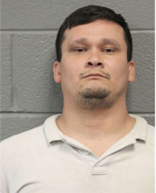 ENAIN G HERNANDEZ, IL