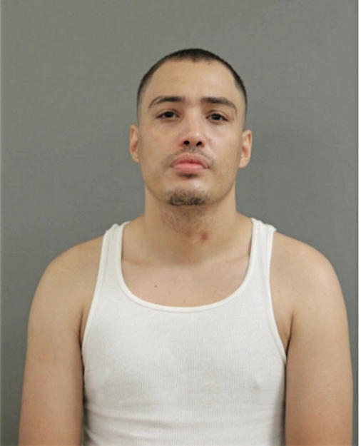 JULIO A RODRIGUEZ, Cook County, Illinois