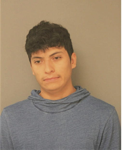 LUIS G GARCIA-GARCIA, Cook County, Illinois