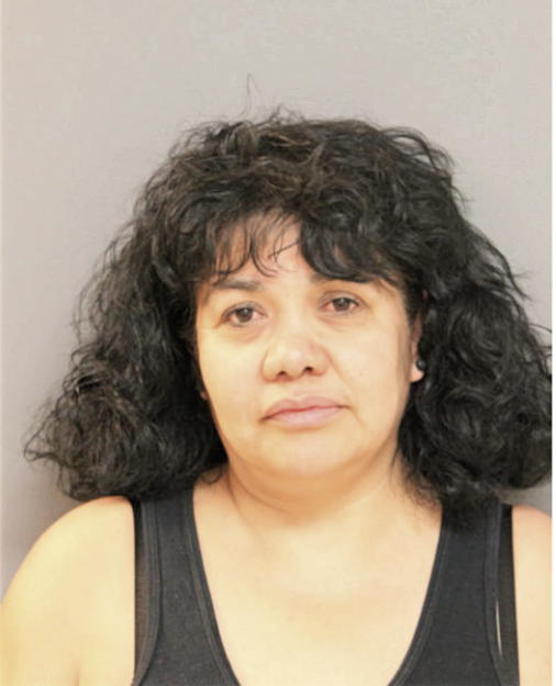 REYNA PINEDA, Cook County, Illinois