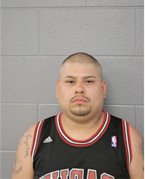 MILTON C DIAZ, Cook County, Illinois