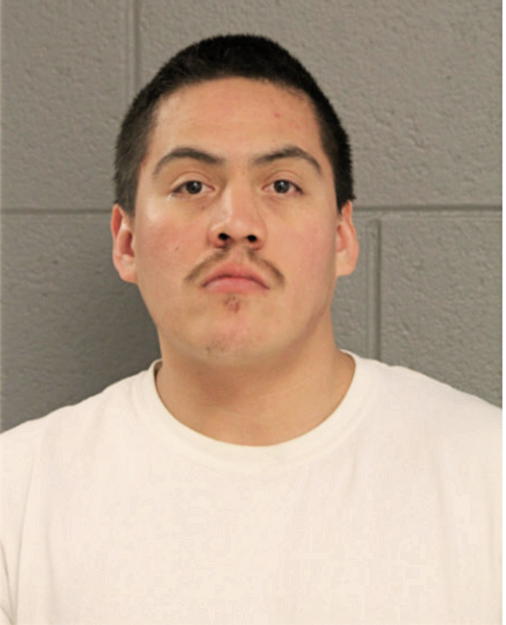 GERARDO D MEDINA, Cook County, Illinois