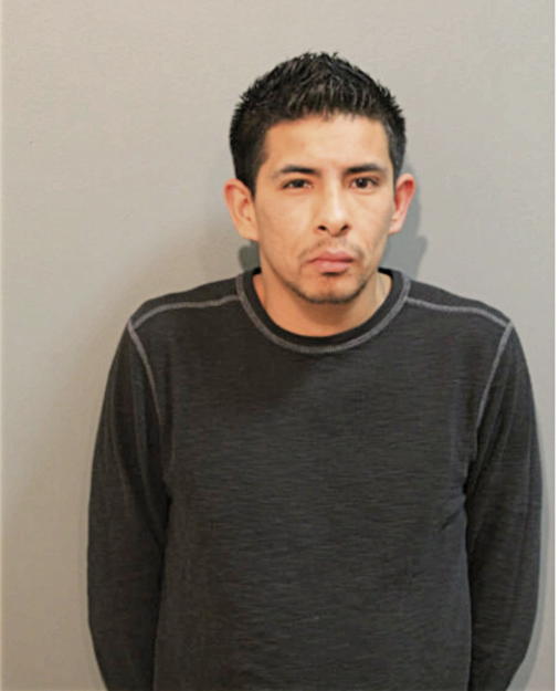 JOSE A TORRES, Cook County, Illinois