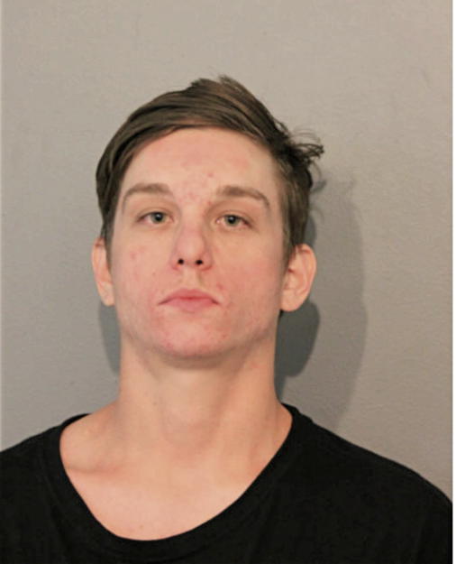 LUKAS ALEXANDER TAYLOR, Cook County, Illinois